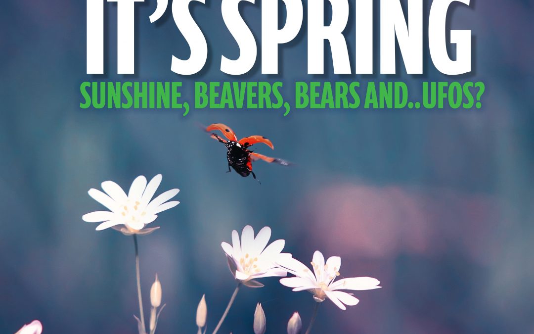 May 2020 Newsletter