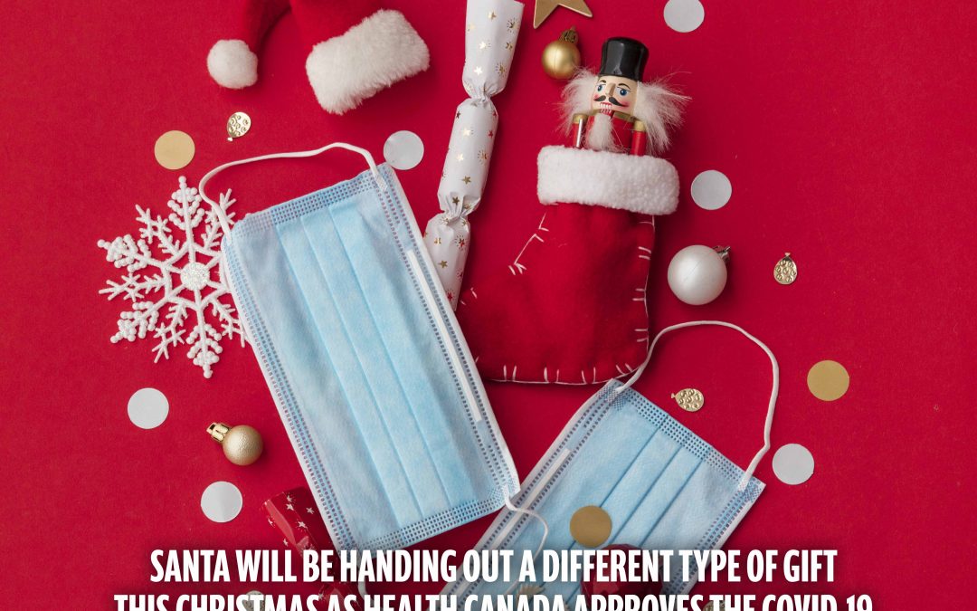December 2021 Newsletter