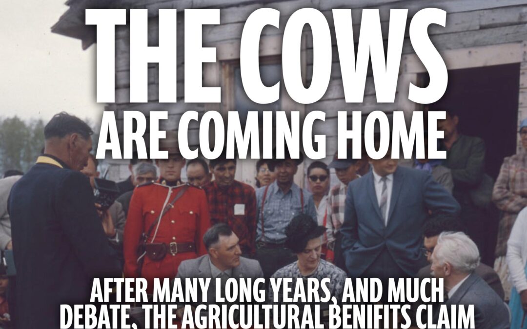 Łuéchogh Túé Newsletter, December 2024