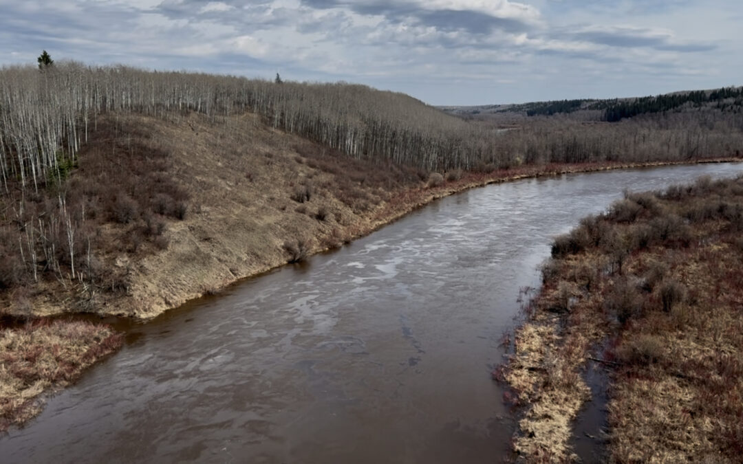 Search for Whyette Scanie Transitions to Aerial Phase as Hazardous River Conditions Persist