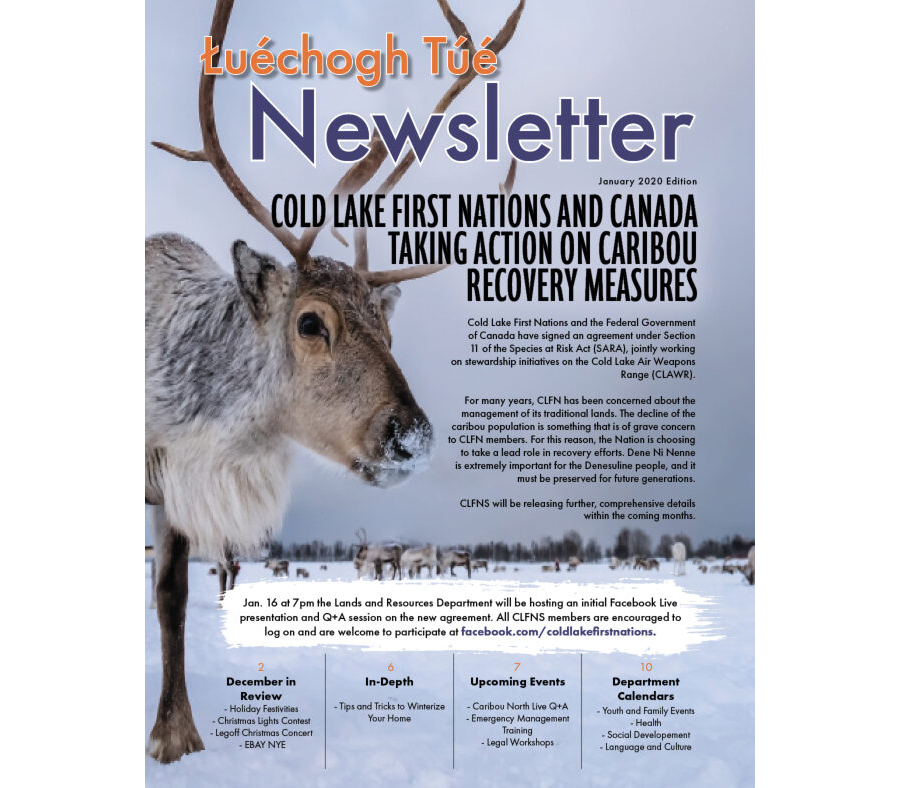 January 2020 NEWSLETTER